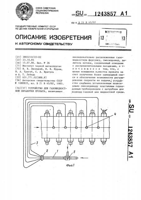 Устройство для газожидкостной обработки проката (патент 1243857)