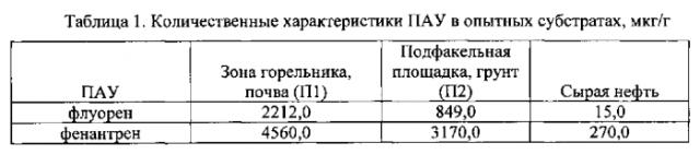 Штамм rhodococcus erythropolis для очистки воды, почвы, береговой зоны водных объектов и донных отложений от нефти и нефтепродуктов (патент 2553337)