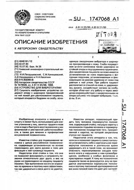 Устройство для вибротерапии (патент 1747068)