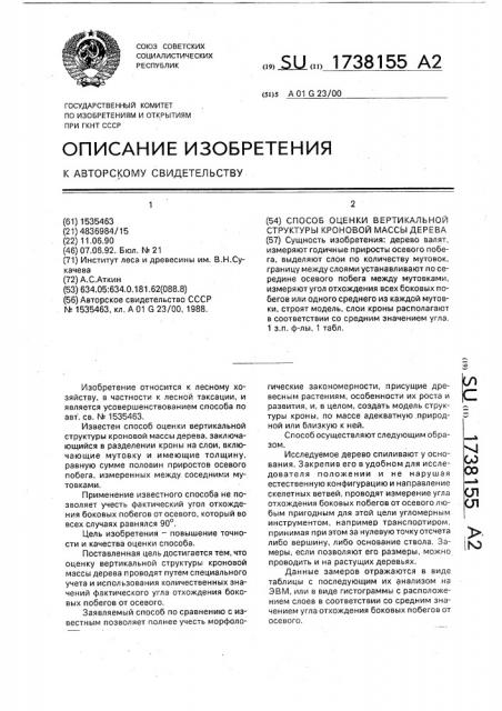 Способ оценки вертикальной структуры кроновой массы дерева (патент 1738155)