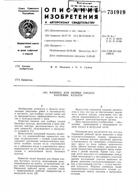 Машина для уборки плодов бахчевых культур (патент 731919)