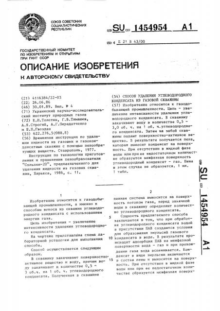 Способ удаления углеводородного конденсата из газовой скважины (патент 1454954)