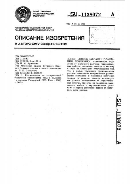 Способ закладки плантации земляники (патент 1138072)