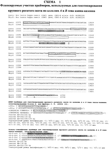 Способ проведения аллель-специфичной пцр для генотипирования крупного рогатого скота по аллелям а и в гена каппа-казеина (патент 2337141)