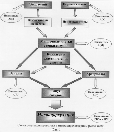 Средство для устранения нарушений нейрогенной и эндокринной регуляции системы капиллярного кровотока (патент 2253440)