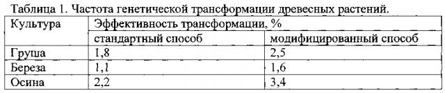 Способ получения генетически модифицированных древесных растений (патент 2619175)