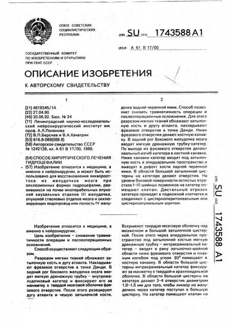 Способ хирургического лечения гидроцефалии (патент 1743588)