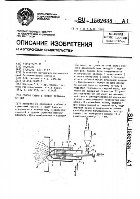 Способ сушки в потоке теплоносителя (патент 1562638)