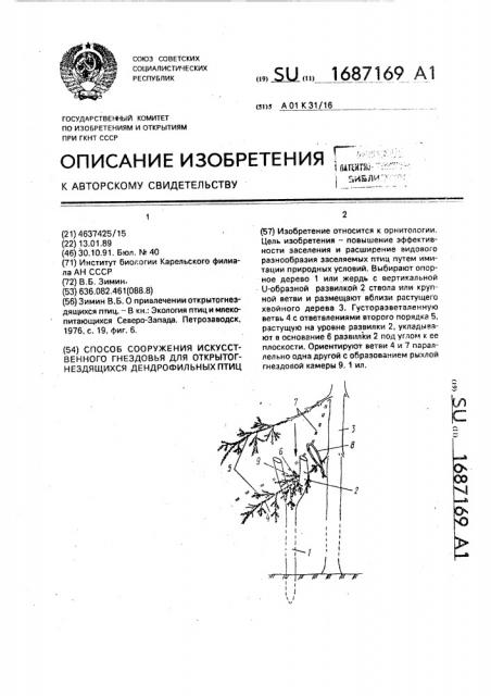 Способ сооружения искусственного гнездовья для открытогнездящихся дендрофильных птиц (патент 1687169)