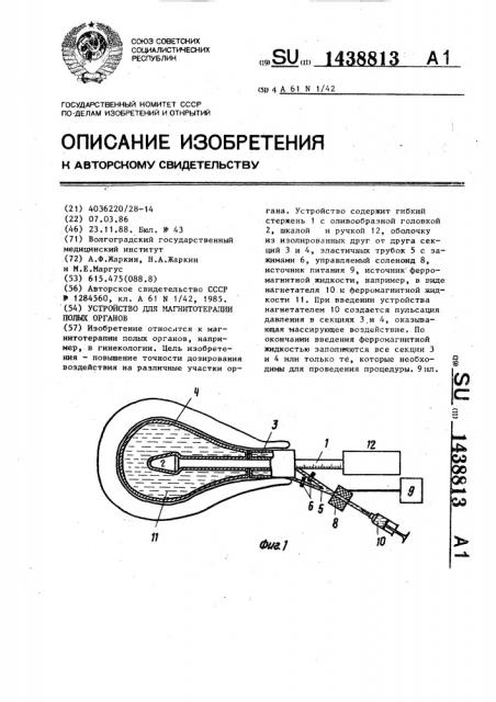 Устройство для магнитотерапии полых органов (патент 1438813)