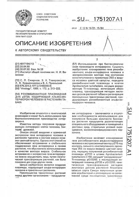 Рекомбинантная плазмидная днк pst20, кодирующая альфа- интерферон человека в растениях табака (патент 1751207)