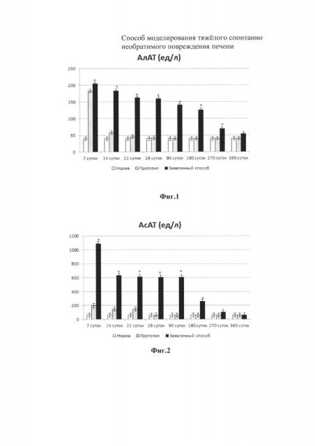 Способ моделирования тяжёлого спонтанно необратимого повреждения печени (патент 2633296)