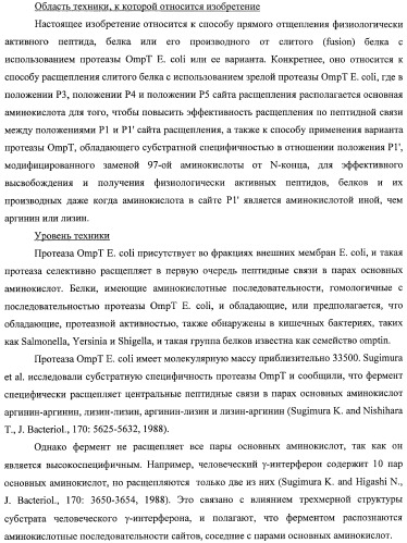 Способ расщепления полипептидов с использованием варианта протеазы оmpт (патент 2395582)