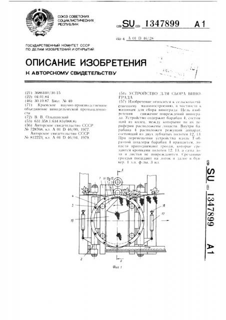 Устройство для сбора винограда (патент 1347899)