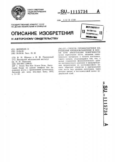 Способ профилактики нарушения кровообращения в кости при ампутации конечности (патент 1115734)