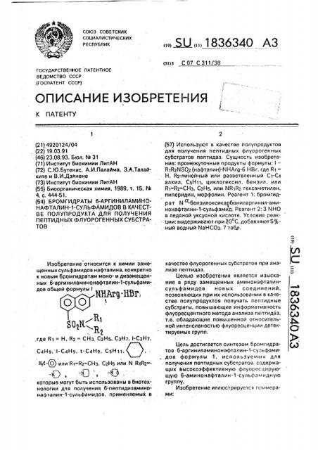 Бромгидраты 6-аргиниламинонафталин-1-сульфамидов в качестве полупродукта для получения пептидных флуорогенных субстратов (патент 1836340)