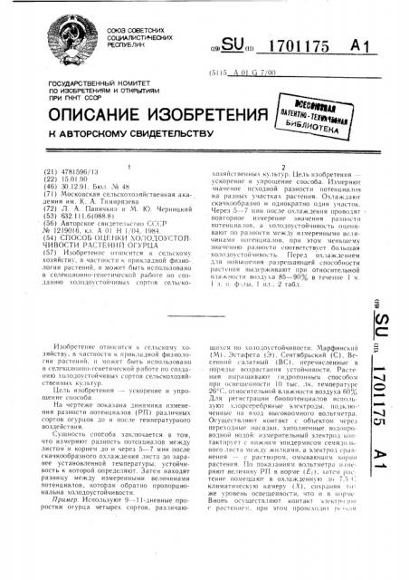 Способ оценки холодоустойчивости растений огурца (патент 1701175)