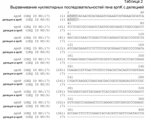 Штаммы spnk (патент 2580015)