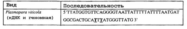 Способ определения устойчивости грибного фитопатогена, аллельспецифический праймер и набор (патент 2296162)