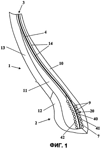 Пневматическая шина (варианты) (патент 2290319)