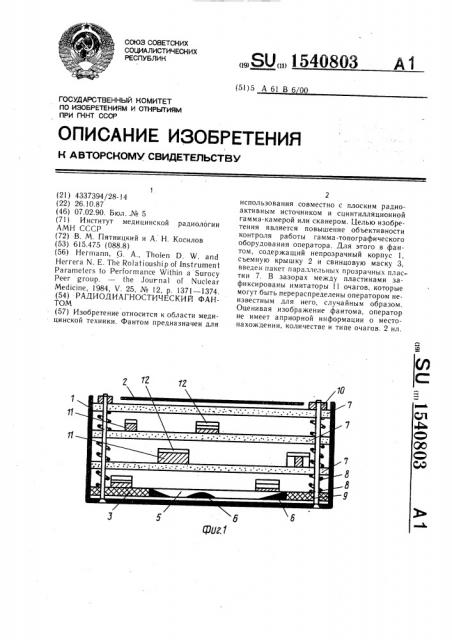 Радиодиагностический фантом (патент 1540803)