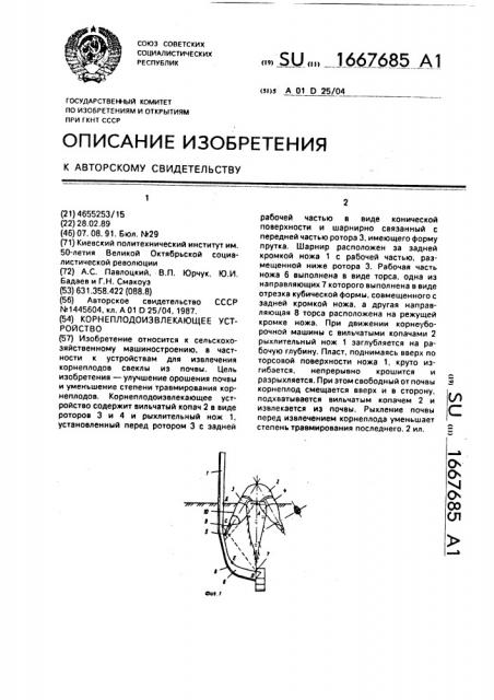 Корнеплодоизвлекающее устройство (патент 1667685)
