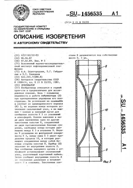 Лубрикатор (патент 1456535)