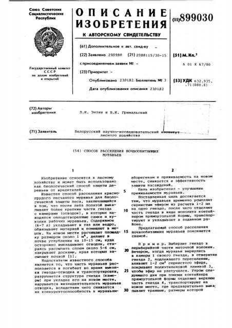 Способ расселения почвообитающих муравьев (патент 899030)