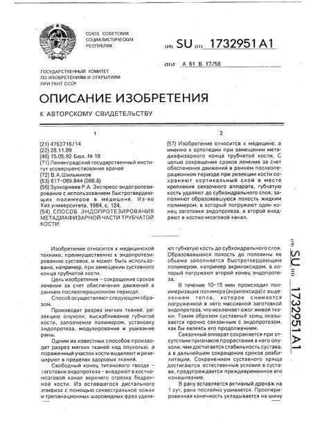 Способ эндопротезирования метадиафизарной части трубчатой кости (патент 1732951)