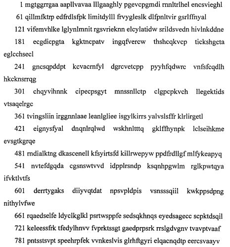 Способ лечения сахарного диабета и комбинированное лекарственное средство (патент 2565401)