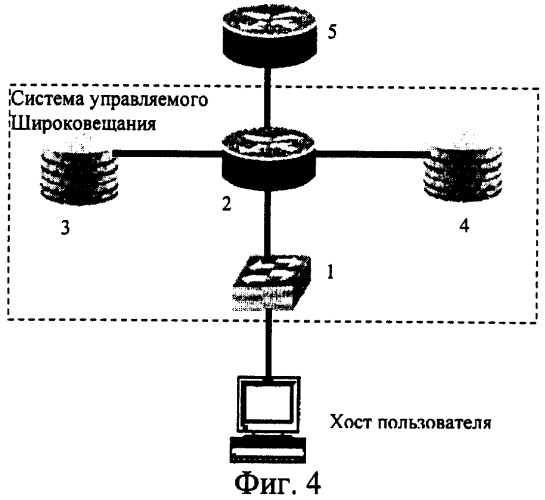 Система и способ организации управляемого широковещания (патент 2282945)