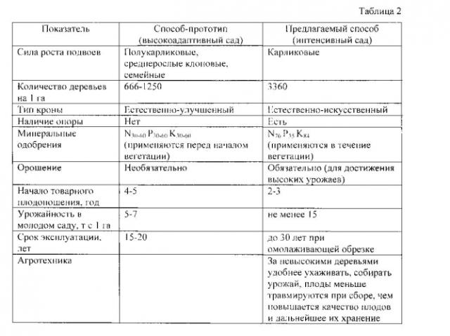 Способ выращивания интенсивного яблоневого сада (патент 2566441)