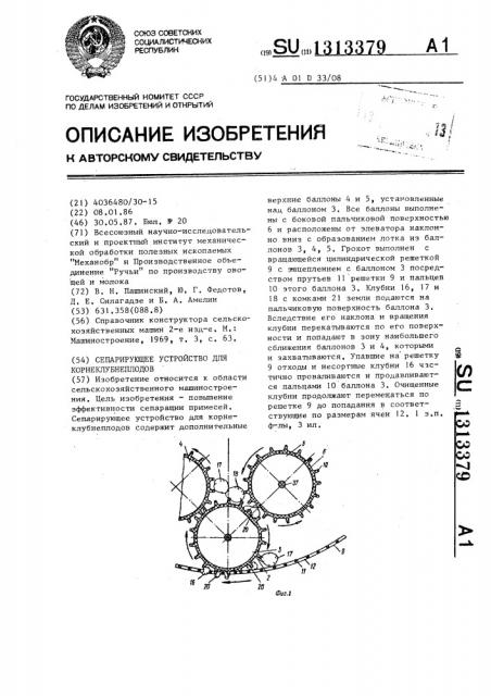 Сепарирующее устройство для корнеклубнеплодов (патент 1313379)