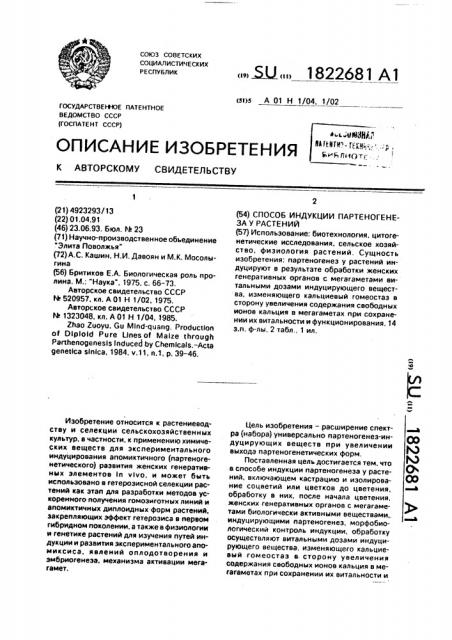 Способ индукции партеногенеза у растений (патент 1822681)