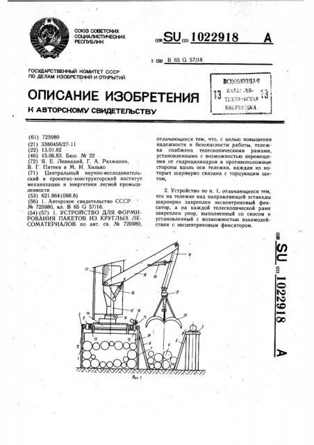 Устройство для формирования пакетов из круглых лесоматериалов (патент 1022918)