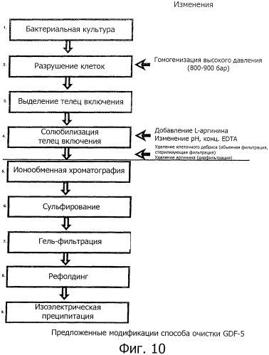 Оптимизированный способ очистки рекомбинантного белка фактора роста (патент 2491290)