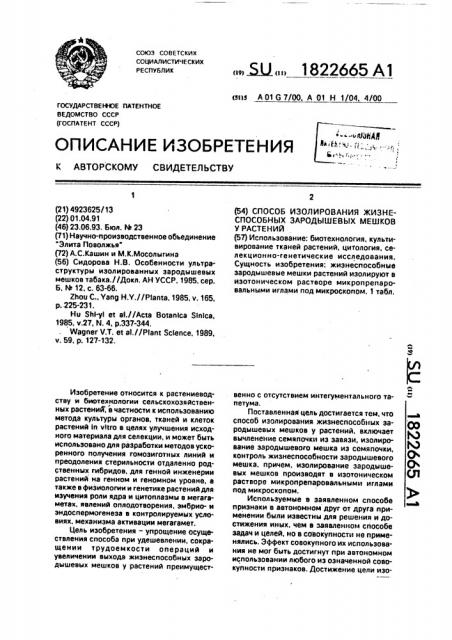 Способ изолирования жизнеспособных зародышевых мешков у растений (патент 1822665)