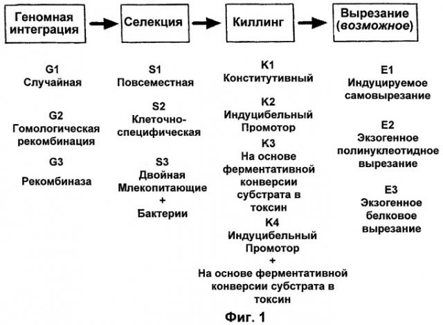 Способы и композиции для лечения заболевания (патент 2468820)