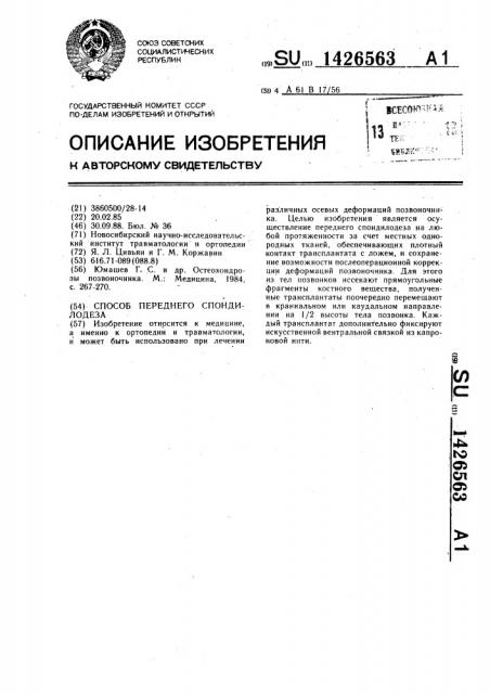 Способ переднего спондилодеза (патент 1426563)