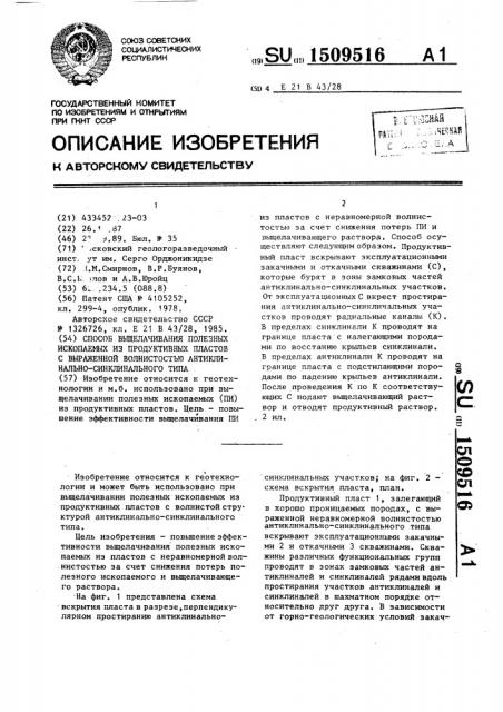 Способ выщелачивания полезных ископаемых из продуктивных пластов с выраженной волнистостью антиклинально- синклинального типа (патент 1509516)