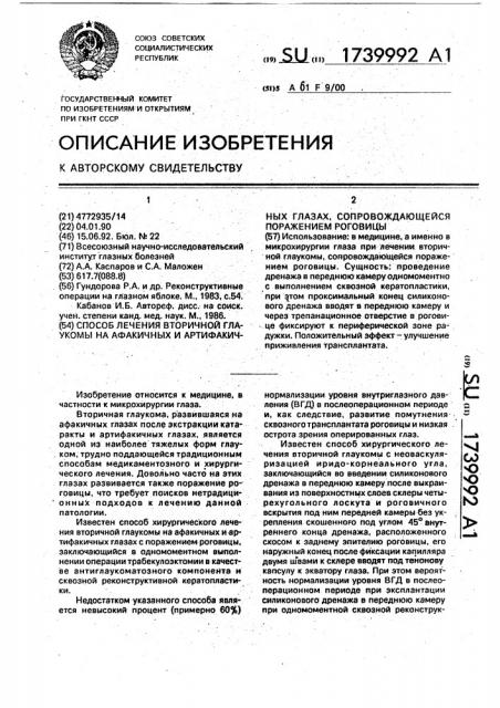 Способ лечения вторичной глаукомы на афакичных и артифакичных глазах, сопровождающейся поражением роговицы (патент 1739992)