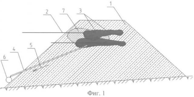 Способ укрепления откосов земляного полотна (патент 2507343)