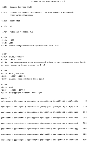Способ получения l-орнитина с использованием бактерий, сверхэкспрессирующих lyse (патент 2571932)