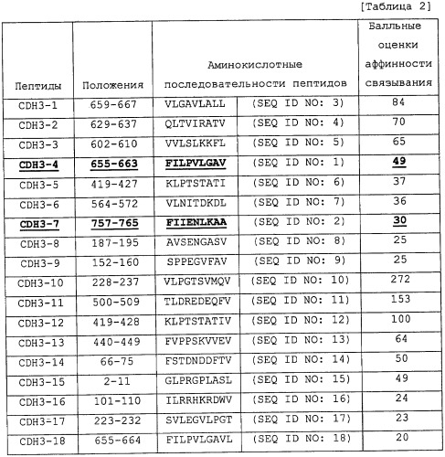 Cdh3-пептид и включающее его лекарственное средство (патент 2483078)