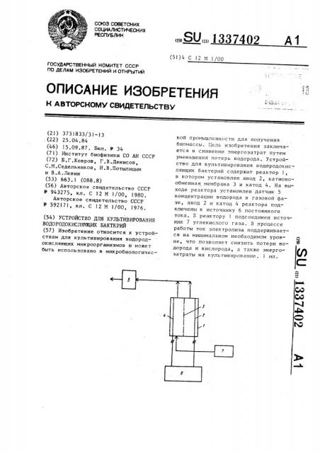 Устройство для культивирования водородокисляющих бактерий (патент 1337402)