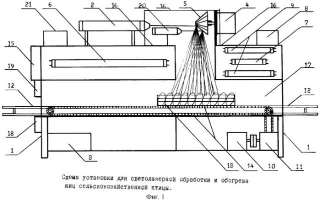 Установка для светолазерной обработки и обогрева яиц сельскохозяйственной птицы (патент 2267265)