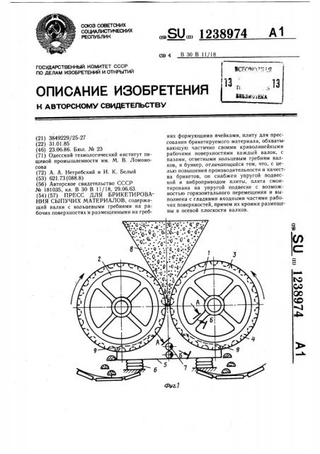 Пресс для брикетирования сыпучих материалов (патент 1238974)