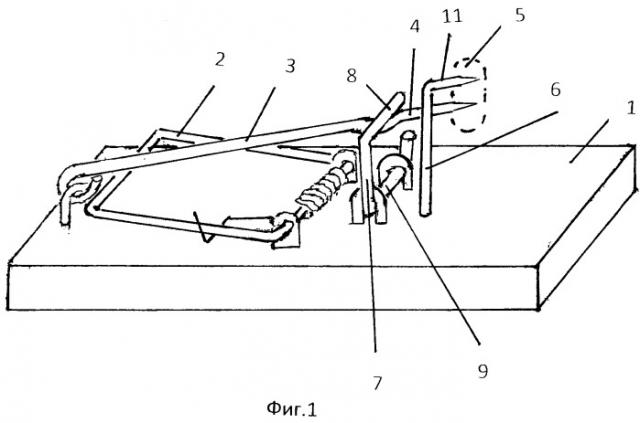 Ловушка (патент 2489853)