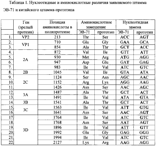 Штамм энтеровируса а71 типа субгенотипа с4, используемый для диагностики и изучения эффективности лечебно-профилактических и вакцинных препаратов (патент 2565811)