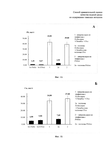 Способ сравнительной оценки качества водной среды по содержанию тяжелых металлов (патент 2589896)